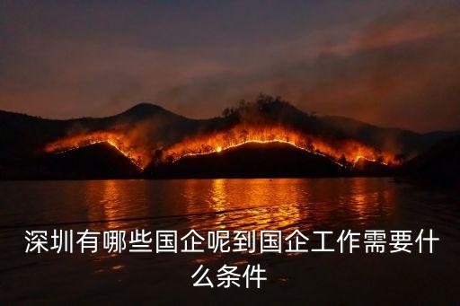  深圳有哪些國(guó)企呢到國(guó)企工作需要什么條件
