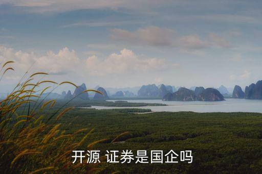  開源 證券是國(guó)企嗎