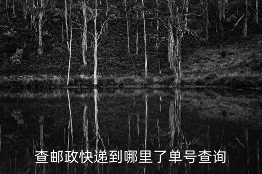 查郵政快遞到哪里了單號(hào)查詢