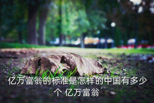  億萬(wàn)富翁的標(biāo)準(zhǔn)是怎樣的中國(guó)有多少個(gè) 億萬(wàn)富翁