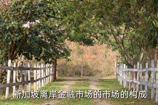  新加坡離岸金融市場的市場的構(gòu)成