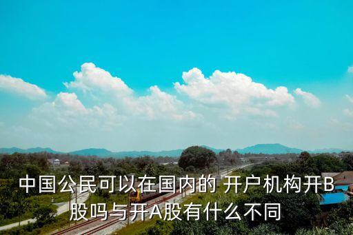 中國公民可以在國內(nèi)的 開戶機(jī)構(gòu)開B股嗎與開A股有什么不同