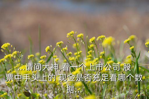 ...請問大神,看一個上市公司 股票中手頭上的 現(xiàn)金是否充足看哪個數(shù)據(jù)...