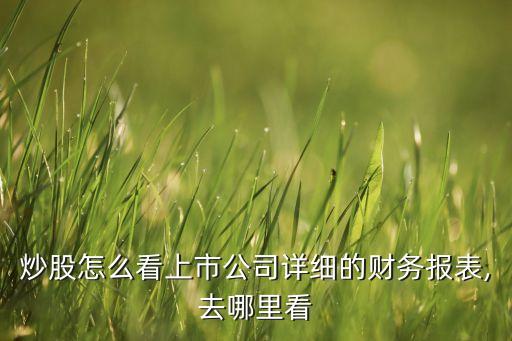 炒股怎么看上市公司詳細的財務報表,去哪里看