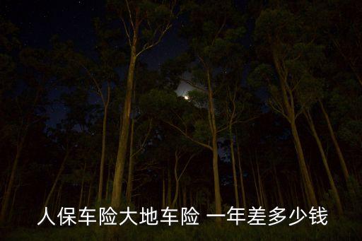  人保車(chē)險(xiǎn)大地車(chē)險(xiǎn) 一年差多少錢(qián)
