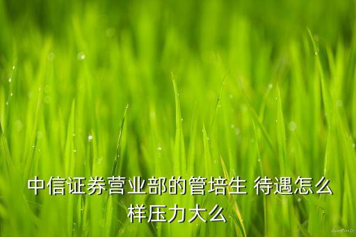  中信證券營(yíng)業(yè)部的管培生 待遇怎么樣壓力大么