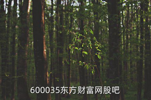600035東方財(cái)富網(wǎng)股吧
