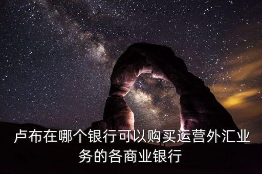  盧布在哪個銀行可以購買運(yùn)營外匯業(yè)務(wù)的各商業(yè)銀行