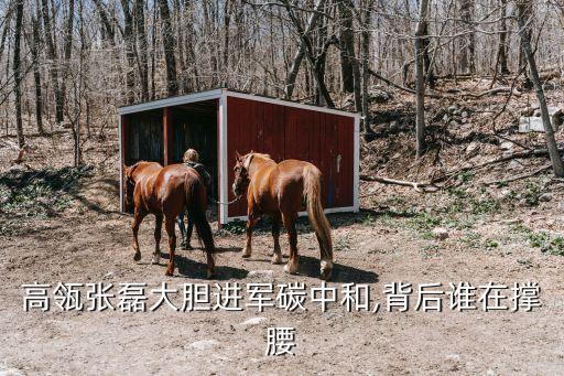 高瓴張磊大膽進(jìn)軍碳中和,背后誰(shuí)在撐腰