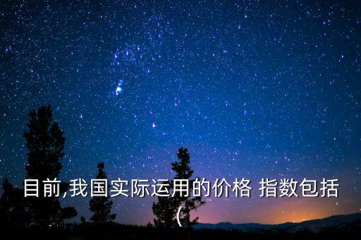目前,我國實(shí)際運(yùn)用的價(jià)格 指數(shù)包括(