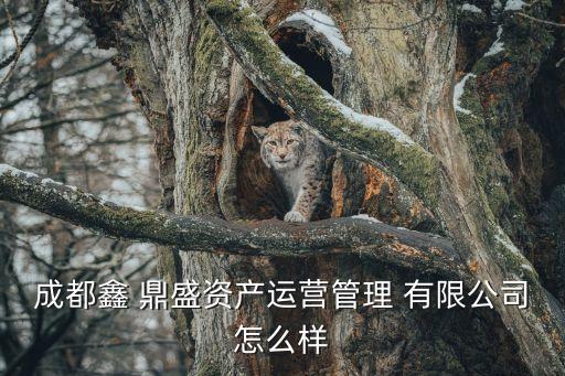 成都鑫 鼎盛資產(chǎn)運營管理 有限公司怎么樣