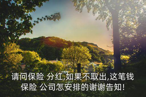 請(qǐng)問保險(xiǎn) 分紅,如果不取出,這筆錢保險(xiǎn) 公司怎安排的謝謝告知!