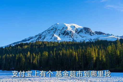 1基金財富聯(lián)盟,靠基金能財富自由嗎