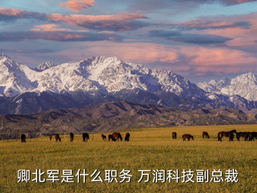 深圳市萬潤集團(tuán),煙臺開發(fā)區(qū)萬潤集團(tuán)