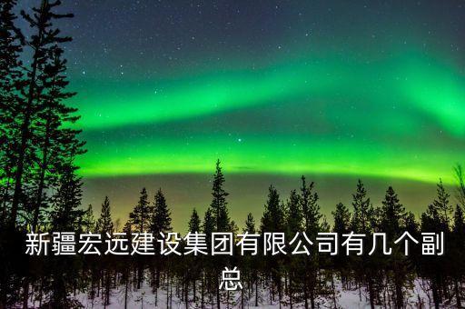  新疆宏遠建設集團有限公司有幾個副總