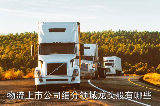 物流上市公司細分領域龍頭股有哪些