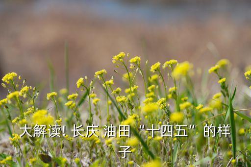 長(zhǎng)慶油田公司并購(gòu),西安長(zhǎng)慶油田公司地址
