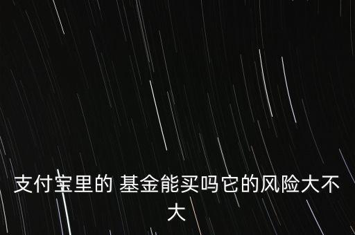 支付寶里的 基金能買嗎它的風(fēng)險(xiǎn)大不大