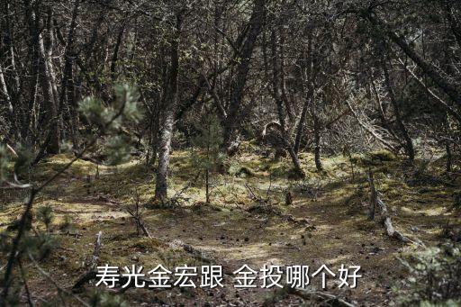 壽光金宏跟 金投哪個好
