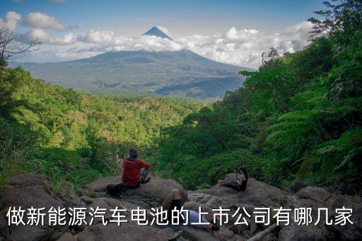 上海科力遠(yuǎn)集團(tuán),科力遠(yuǎn)集團(tuán)股份有限公司