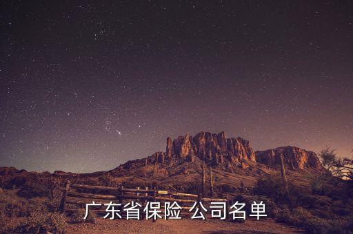 廣東省保險(xiǎn) 公司名單