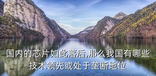 國內(nèi)的芯片如此落后,那么我國有哪些技術(shù)領(lǐng)先或處于壟斷地位