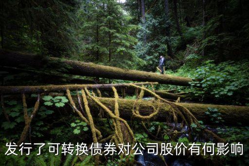 轉(zhuǎn)債和股票的關(guān)系,股票出現(xiàn)轉(zhuǎn)債說明了什么