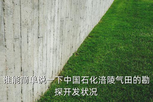 誰(shuí)能簡(jiǎn)單說(shuō)一下中國(guó)石化涪陵氣田的勘探開發(fā)狀況