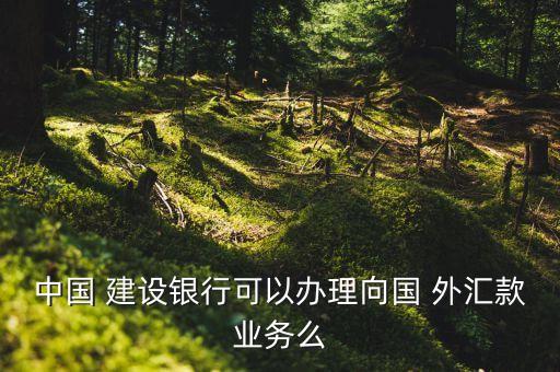 中國 建設銀行可以辦理向國 外匯款業(yè)務么