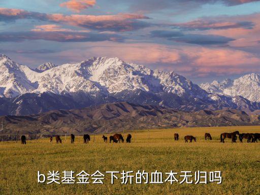 b級(jí)股票上折,浙江世寶股票