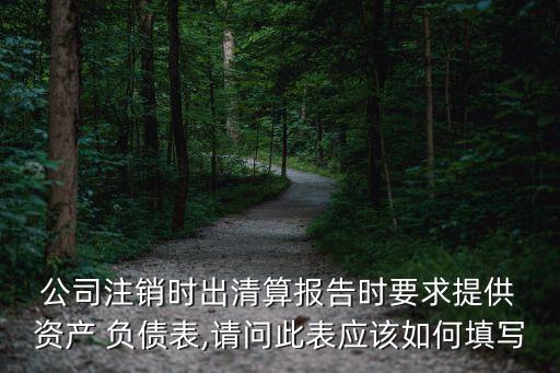  公司注銷時(shí)出清算報(bào)告時(shí)要求提供 資產(chǎn) 負(fù)債表,請(qǐng)問此表應(yīng)該如何填寫