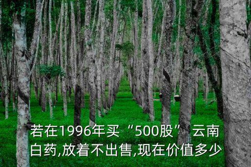 若在1996年買(mǎi)“500股” 云南白藥,放著不出售,現(xiàn)在價(jià)值多少
