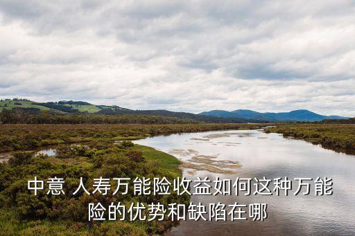  中意 人壽萬能險收益如何這種萬能險的優(yōu)勢和缺陷在哪