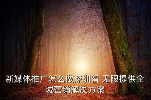 新媒體推廣怎么做深圳智 無(wú)限提供全域營(yíng)銷解決方案