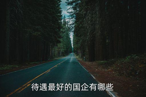 中國大唐資本控股公司,大唐領域控股公司怎么樣