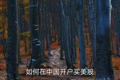 如何在中國(guó)開(kāi)戶買美股