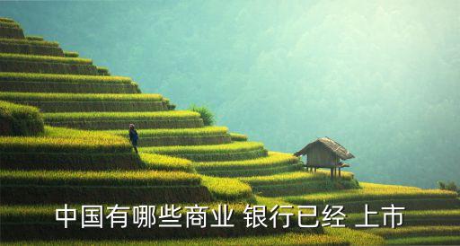 中國有哪些商業(yè) 銀行已經(jīng) 上市