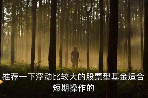 推薦一下浮動(dòng)比較大的股票型基金適合短期操作的