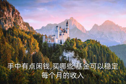 手中有點(diǎn)閑錢,買哪些 基金可以穩(wěn)定每個月的收入