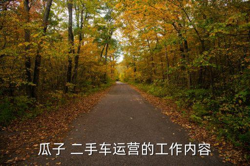 瓜子 二手車(chē)運(yùn)營(yíng)的工作內(nèi)容