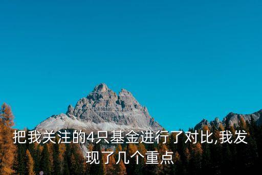 把我關(guān)注的4只基金進(jìn)行了對比,我發(fā)現(xiàn)了幾個重點