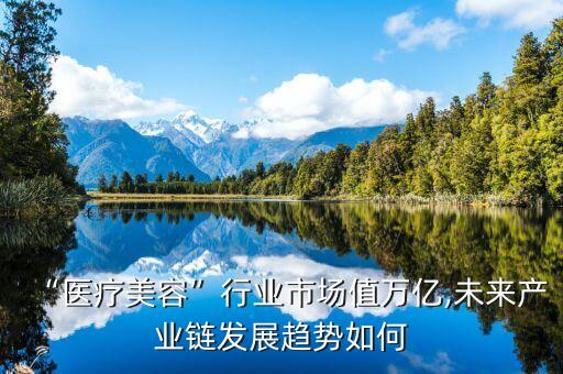 中國醫(yī)美行業(yè)研究報告,中國AI 游戲行業(yè)研究報告