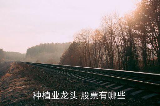 荃銀高科股票