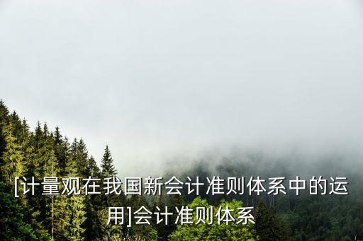 [計量觀在我國新會計準(zhǔn)則體系中的運(yùn)用]會計準(zhǔn)則體系