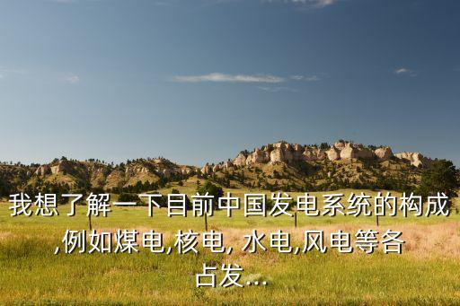我想了解一下目前中國(guó)發(fā)電系統(tǒng)的構(gòu)成,例如煤電,核電, 水電,風(fēng)電等各占發(fā)...