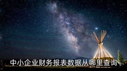 中小企業(yè)財務(wù)報表數(shù)據(jù)從哪里查詢