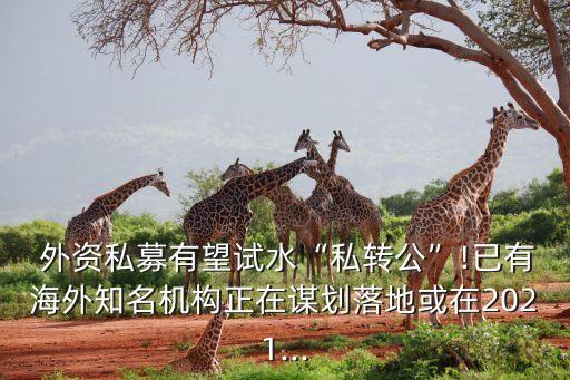  外資私募有望試水“私轉公”!已有海外知名機構正在謀劃落地或在2021...