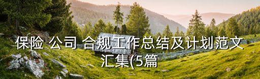 保險 公司 合規(guī)工作總結(jié)及計劃范文匯集(5篇
