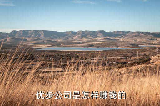  優(yōu)步公司是怎樣賺錢(qián)的