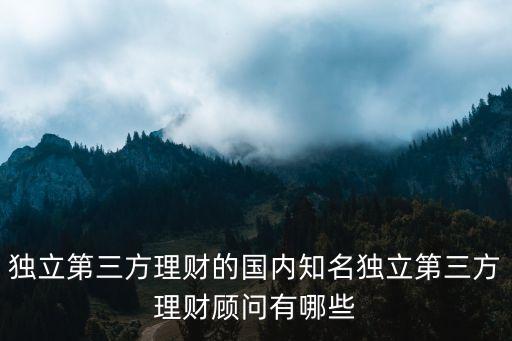 獨立第三方理財?shù)膰鴥戎毩⒌谌嚼碡旑檰栍心男? class=